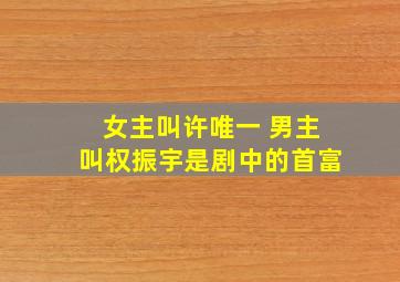 女主叫许唯一 男主叫权振宇是剧中的首富